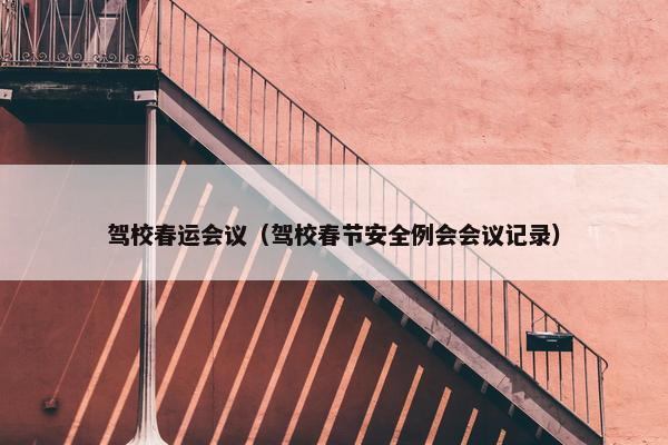 驾校春运会议（驾校春节安全例会会议记录）