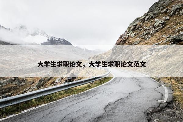 大学生求职论文，大学生求职论文范文