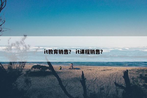 it教育销售？ it课程销售？