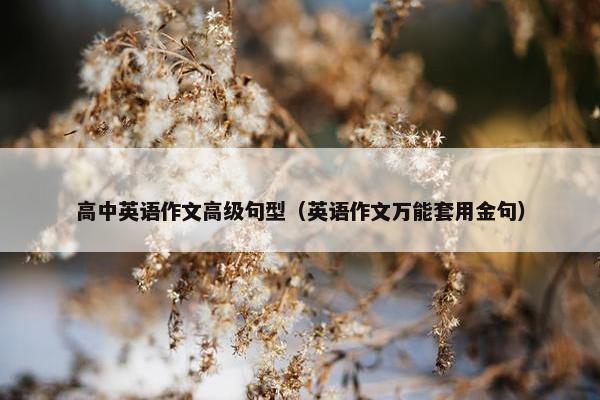 高中英语作文高级句型（英语作文万能套用金句）