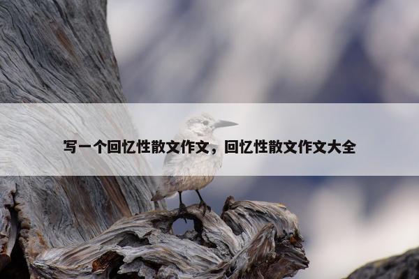 写一个回忆性散文作文，回忆性散文作文大全
