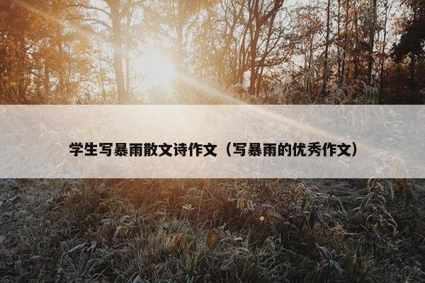 学生写暴雨散文诗作文（写暴雨的优秀作文）