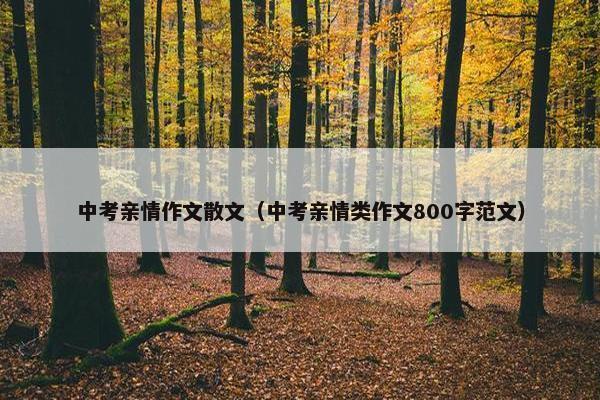 中考亲情作文散文（中考亲情类作文800字范文）