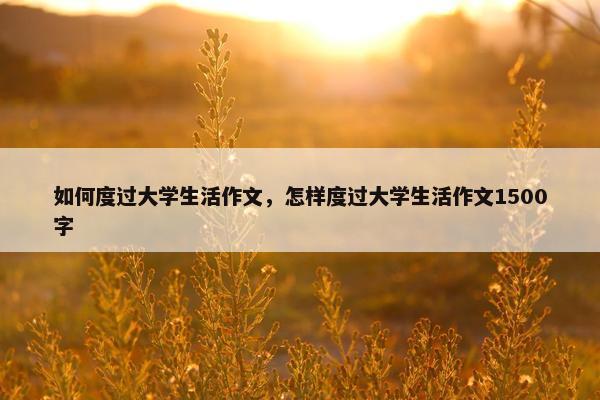 如何度过大学生活作文，怎样度过大学生活作文1500字