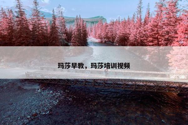 玛莎早教，玛莎培训视频