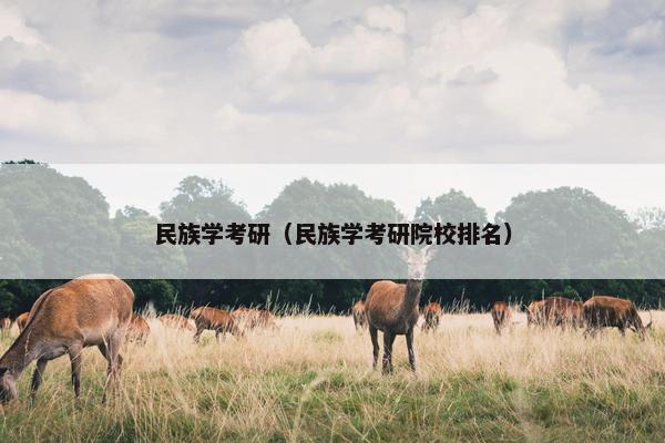 民族学考研（民族学考研院校排名）