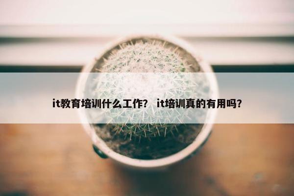 it教育培训什么工作？ it培训真的有用吗？