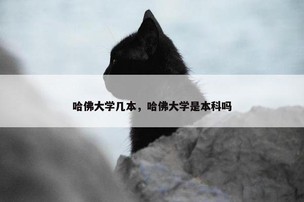 哈佛大学几本，哈佛大学是本科吗