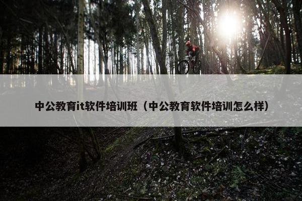 中公教育it软件培训班（中公教育软件培训怎么样）