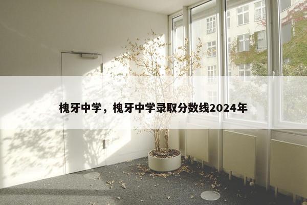 槐牙中学，槐牙中学录取分数线2024年