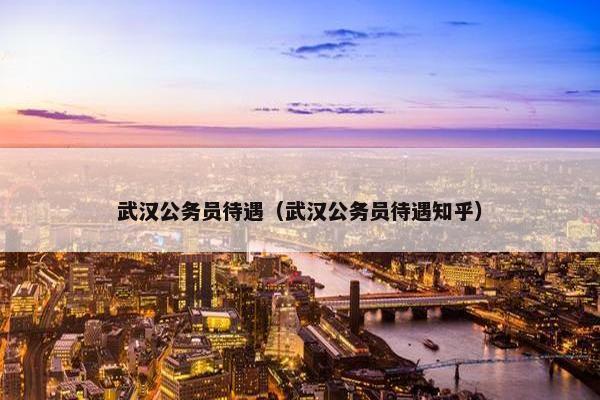 武汉公务员待遇（武汉公务员待遇知乎）