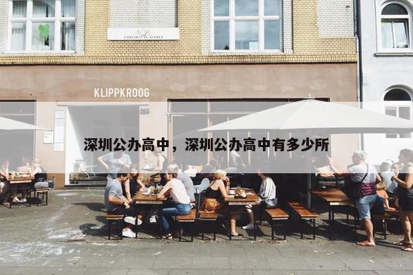 深圳公办高中，深圳公办高中有多少所