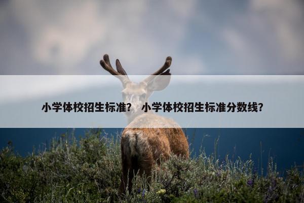 小学体校招生标准？ 小学体校招生标准分数线？