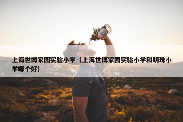上海世博家园实验小学（上海世博家园实验小学和明珠小学哪个好）