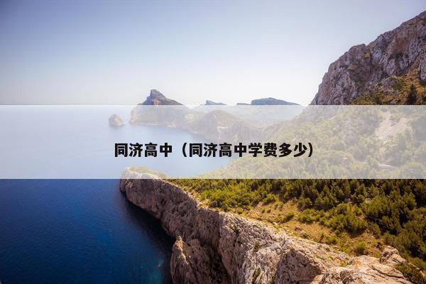 同济高中（同济高中学费多少）