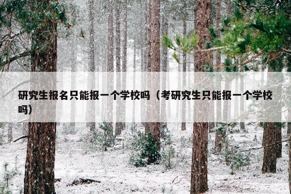 研究生报名只能报一个学校吗（考研究生只能报一个学校吗）