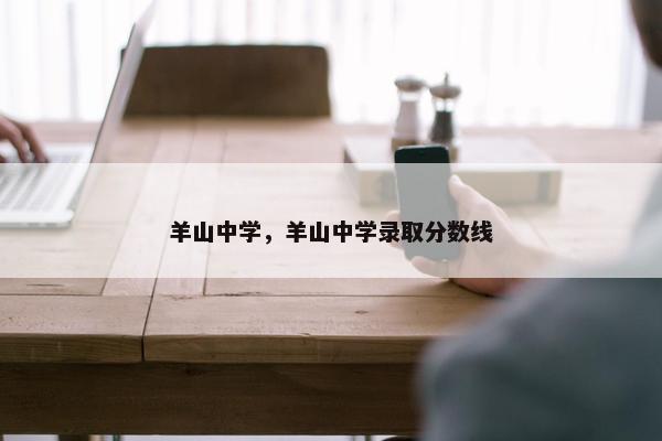 羊山中学，羊山中学录取分数线