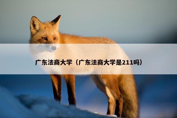 广东法商大学（广东法商大学是211吗）