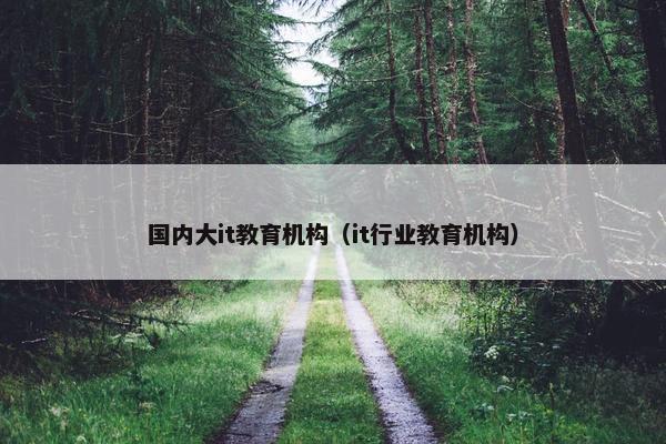 国内大it教育机构（it行业教育机构）