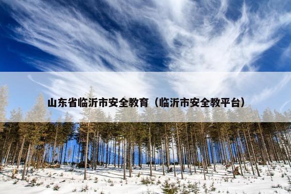 山东省临沂市安全教育（临沂市安全教平台）