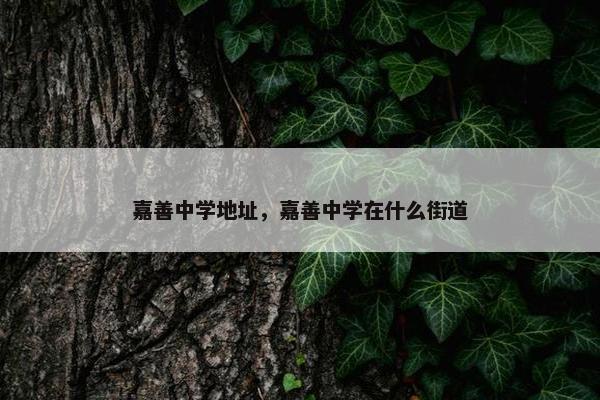 嘉善中学地址，嘉善中学在什么街道