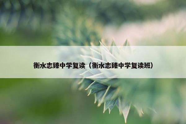 衡水志臻中学复读（衡水志臻中学复读班）