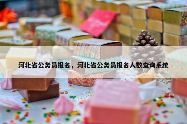 河北省公务员报名，河北省公务员报名人数查询系统