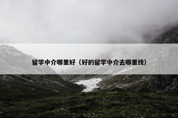 留学中介哪里好（好的留学中介去哪里找）
