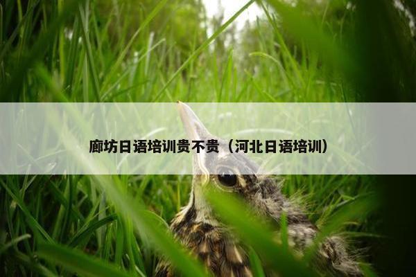 廊坊日语培训贵不贵（河北日语培训）