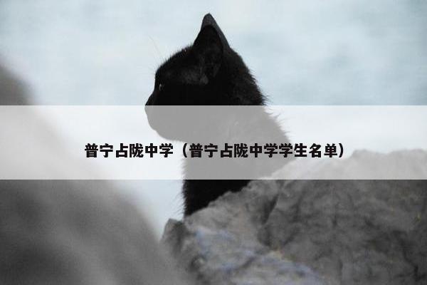 普宁占陇中学（普宁占陇中学学生名单）