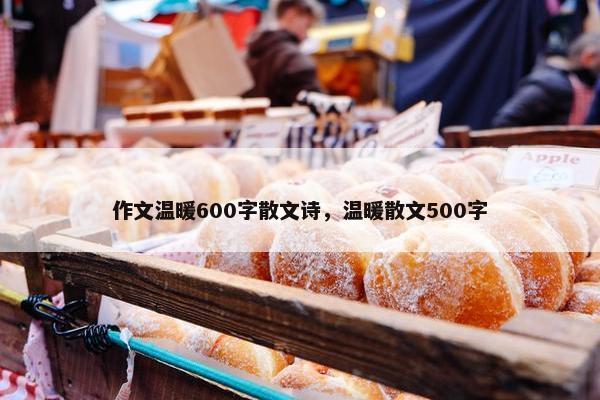 作文温暖600字散文诗，温暖散文500字
