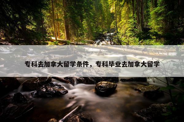 专科去加拿大留学条件，专科毕业去加拿大留学
