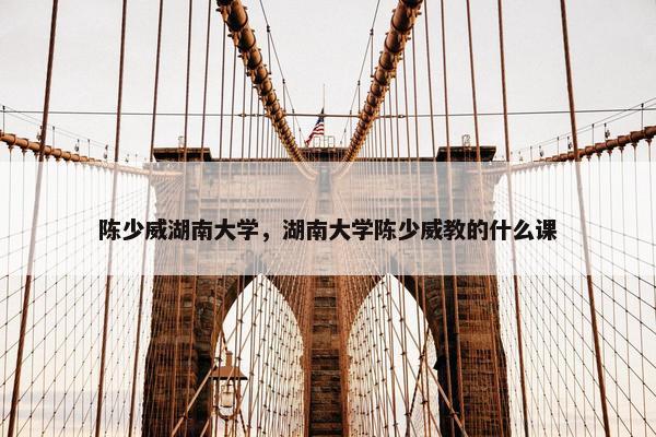 陈少威湖南大学，湖南大学陈少威教的什么课