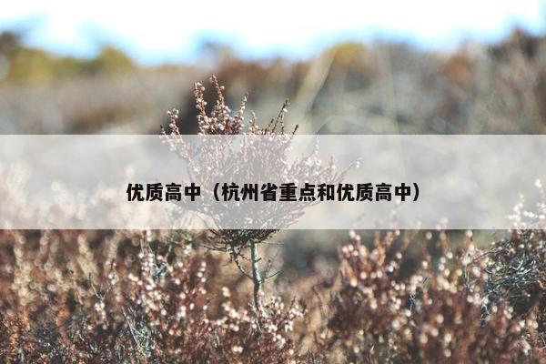 优质高中（杭州省重点和优质高中）