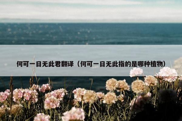 何可一日无此君翻译（何可一日无此指的是哪种植物）