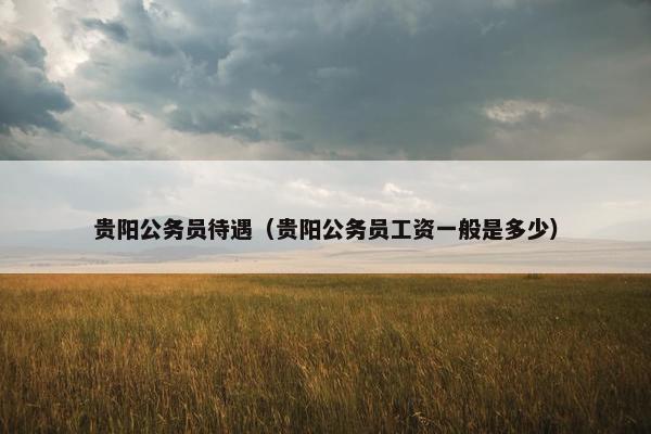 贵阳公务员待遇（贵阳公务员工资一般是多少）