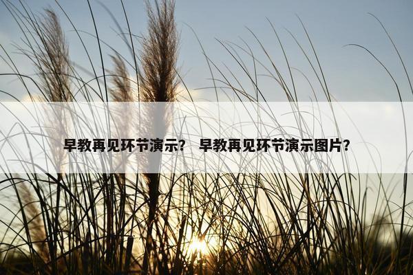 早教再见环节演示？ 早教再见环节演示图片？