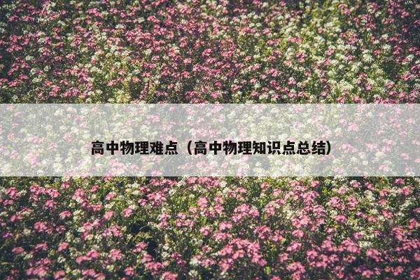 高中物理难点（高中物理知识点总结）