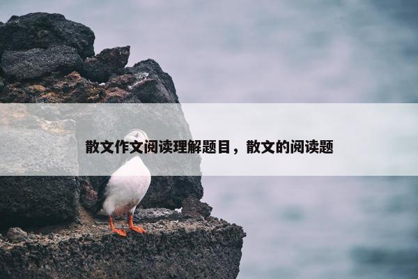 散文作文阅读理解题目，散文的阅读题