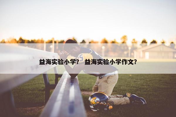 益海实验小学？ 益海实验小学作文？