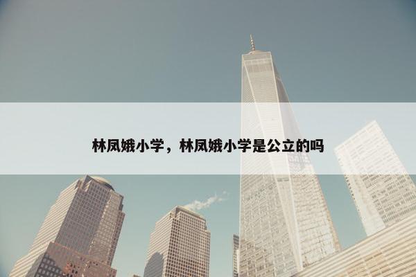 林凤娥小学，林凤娥小学是公立的吗