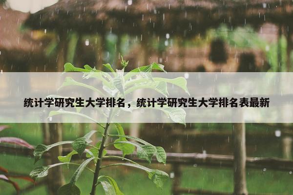 统计学研究生大学排名，统计学研究生大学排名表最新
