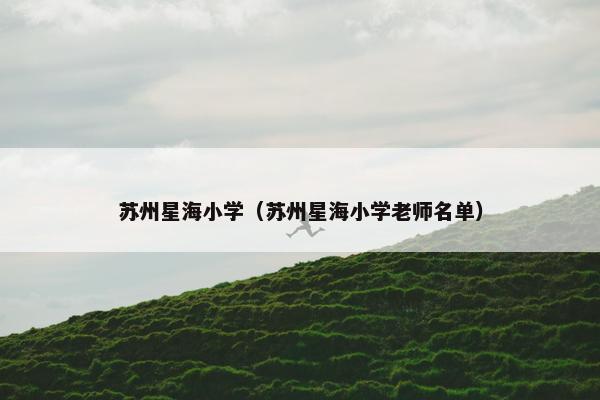 苏州星海小学（苏州星海小学老师名单）