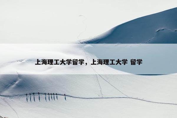 上海理工大学留学，上海理工大学 留学