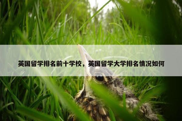 英国留学排名前十学校，英国留学大学排名情况如何
