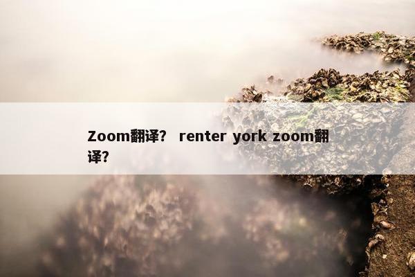 Zoom翻译？ renter york zoom翻译？