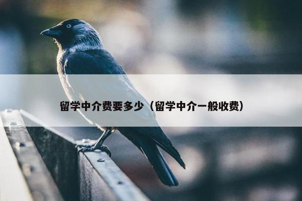 留学中介费要多少（留学中介一般收费）