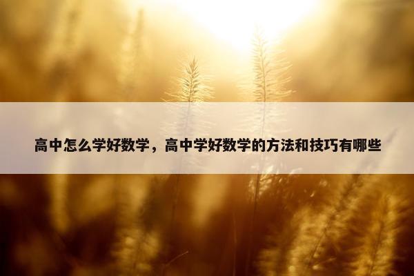 高中怎么学好数学，高中学好数学的方法和技巧有哪些