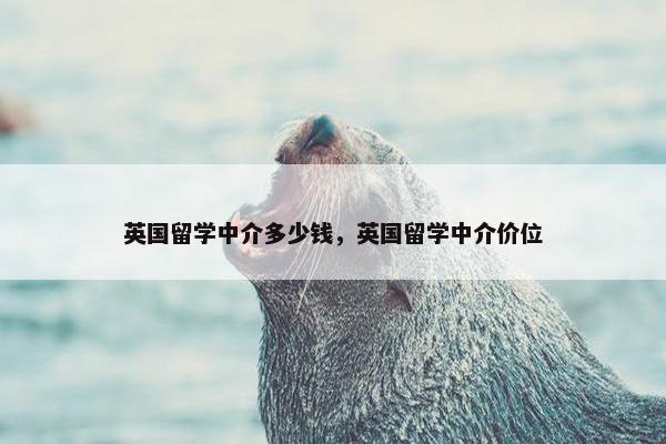 英国留学中介多少钱，英国留学中介价位
