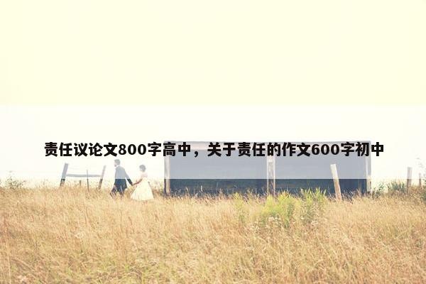 责任议论文800字高中，关于责任的作文600字初中